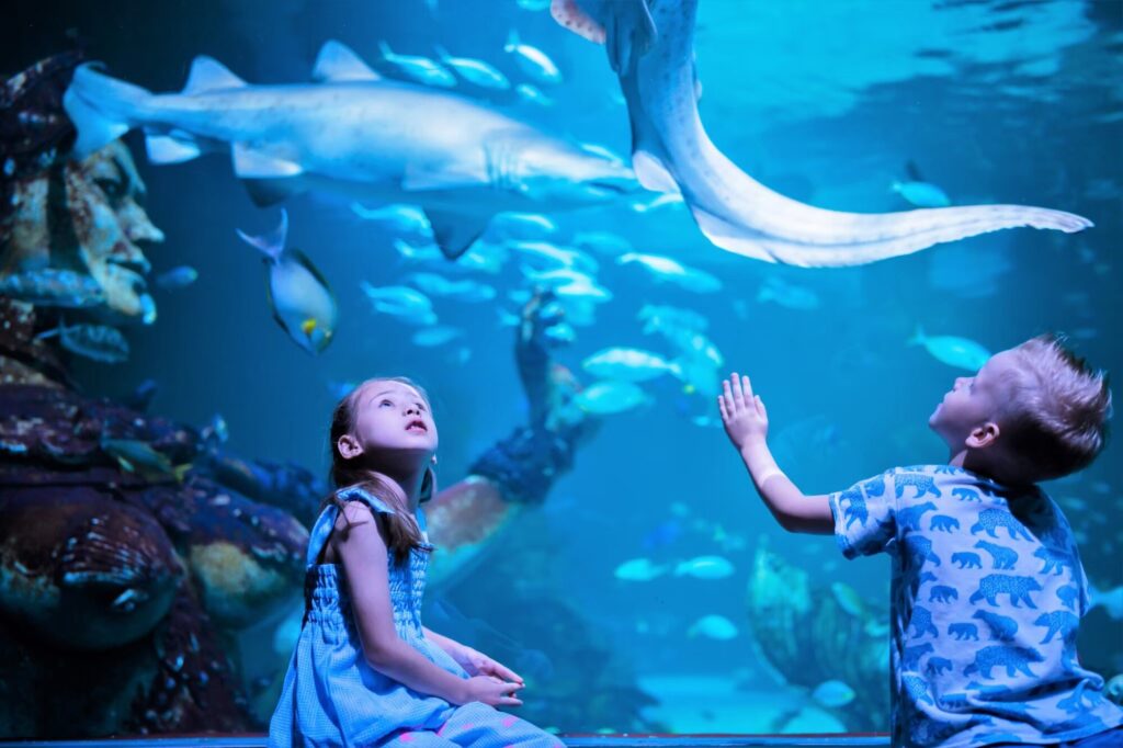 Children watching a shark swim past the glass at Aquaria Phuket