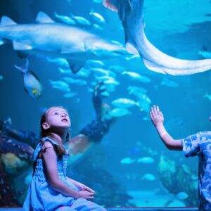 Children watching a shark swim past the glass at Aquaria Phuket