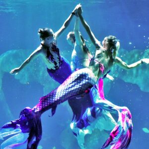 Mermaid show in the main tank