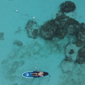A snorkeller over the reef seen from above