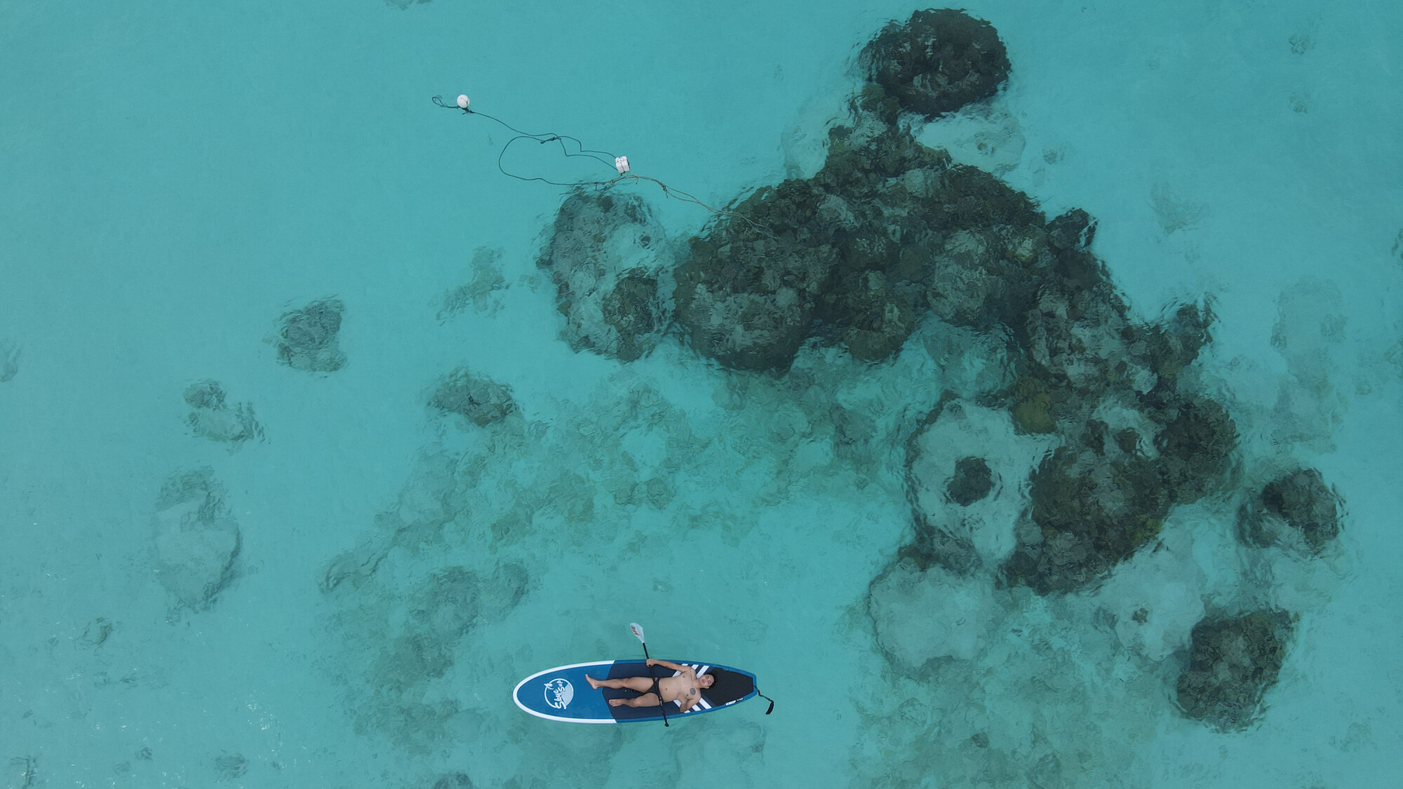 A snorkeller over the reef seen from above