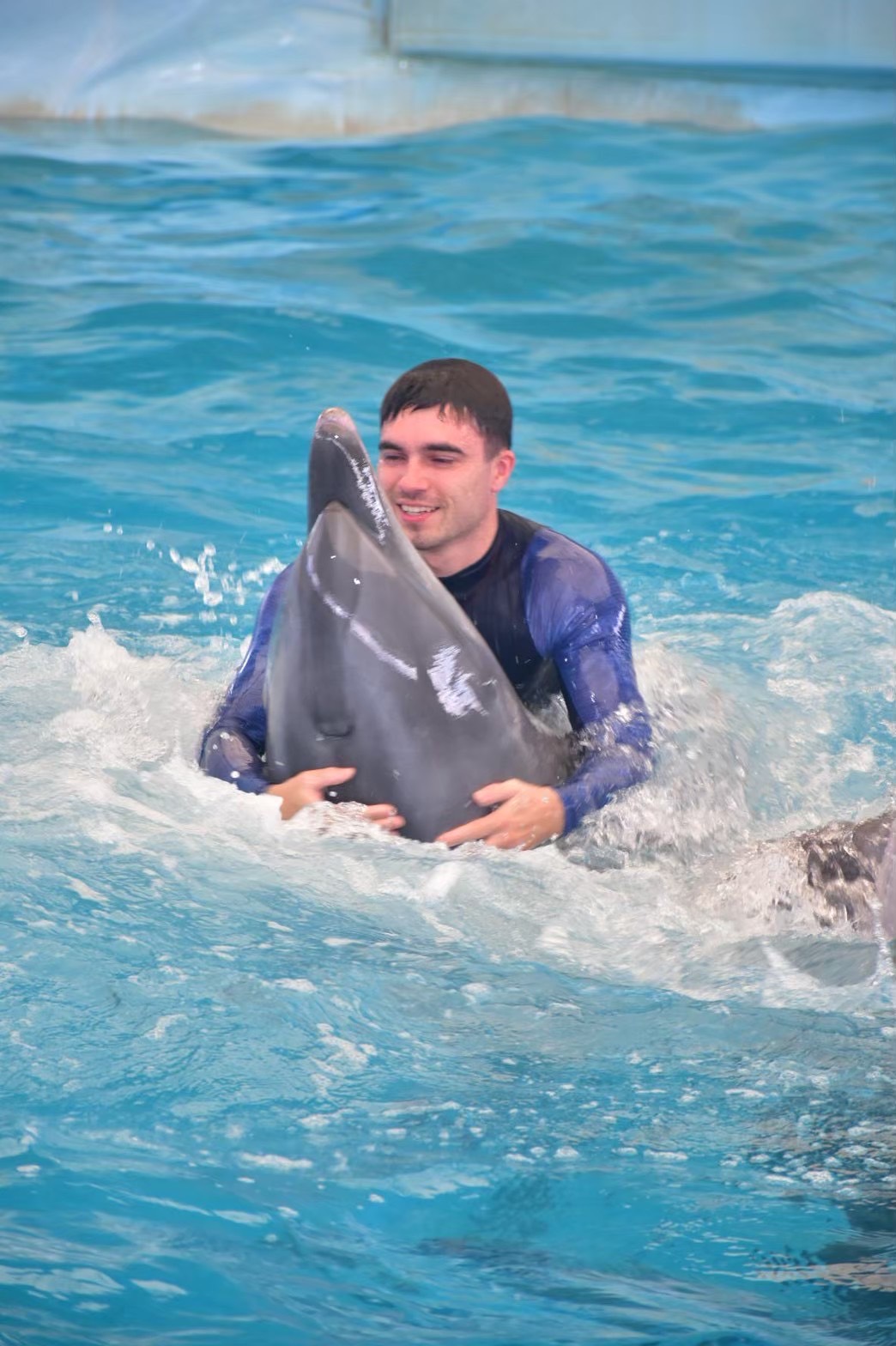 Guest swimming with a dolphin at Dolphins Bay Phuket