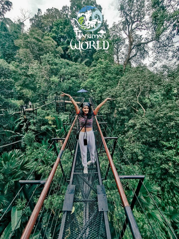 Sky bridge in the treetops at Hanuman World