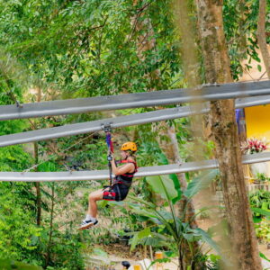Zipliner riding a rail line through the trees