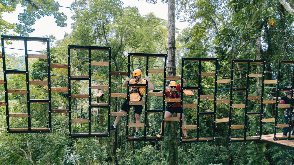 Guests on a hanging obstacle course in the trees