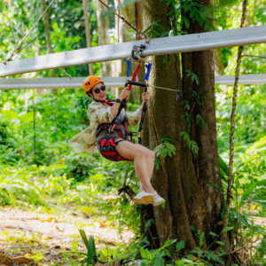 Rider on a roller zipline between trees