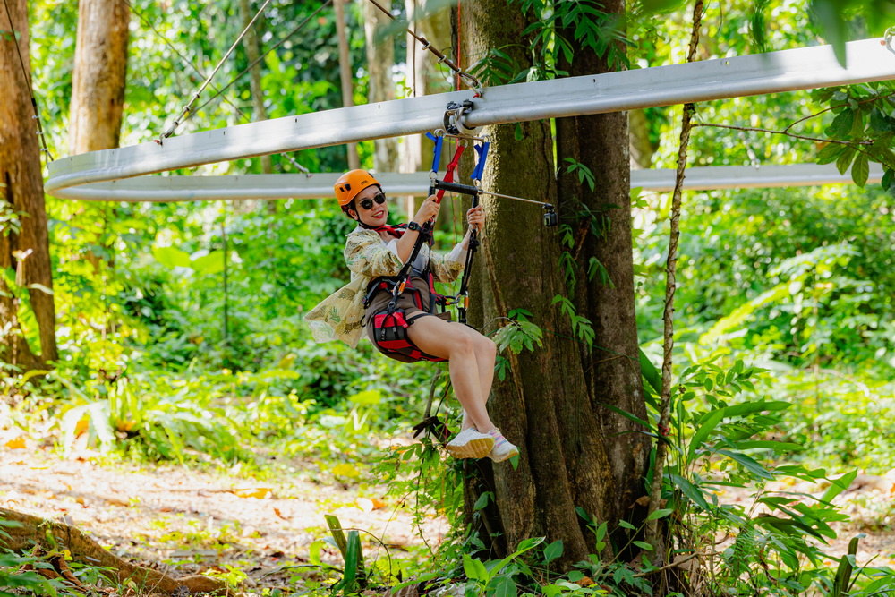 Rider on a roller zipline between trees