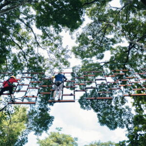 Guests crossing a suspended bridge high in the canopy