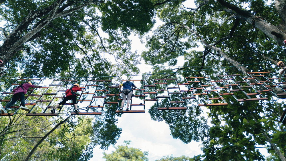 Guests crossing a suspended bridge high in the canopy