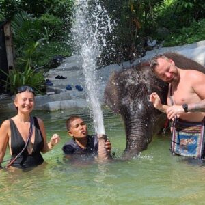 Elephant spraying water during bath time