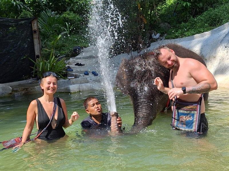 Elephant spraying water during bath time