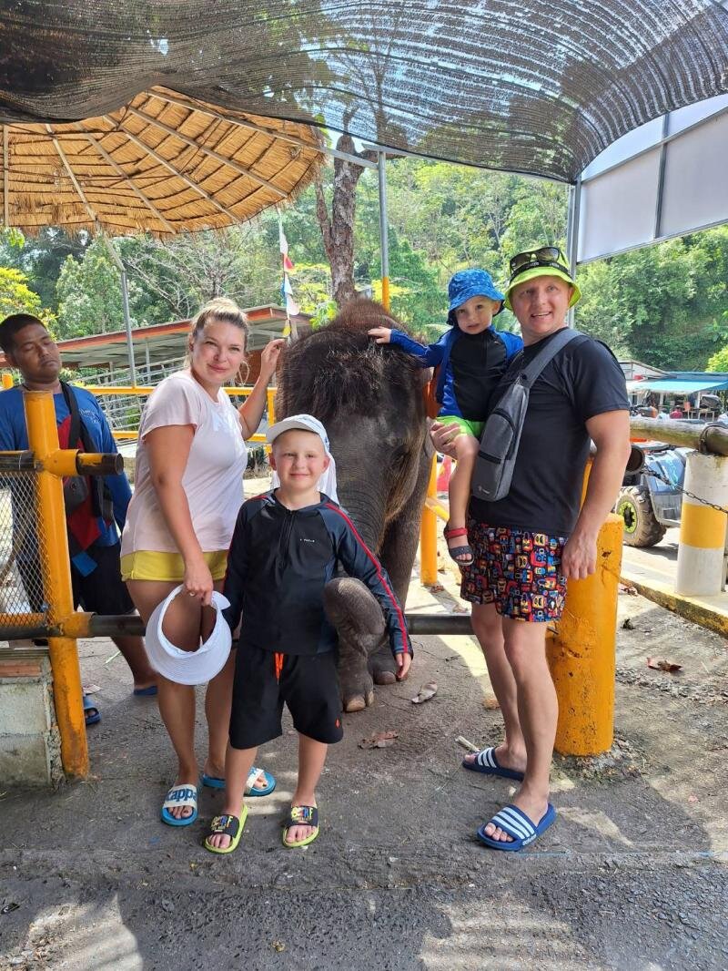Family feeding an elephant at the camp