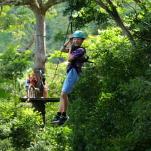 Zipliner arriving at a treetop platform