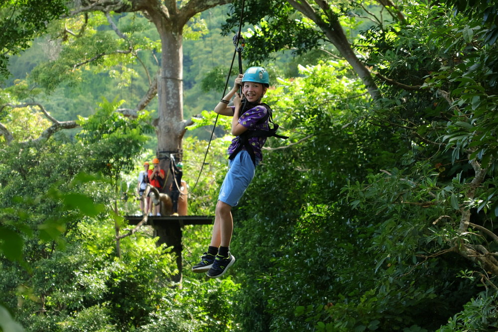 Zipliner arriving at a treetop platform