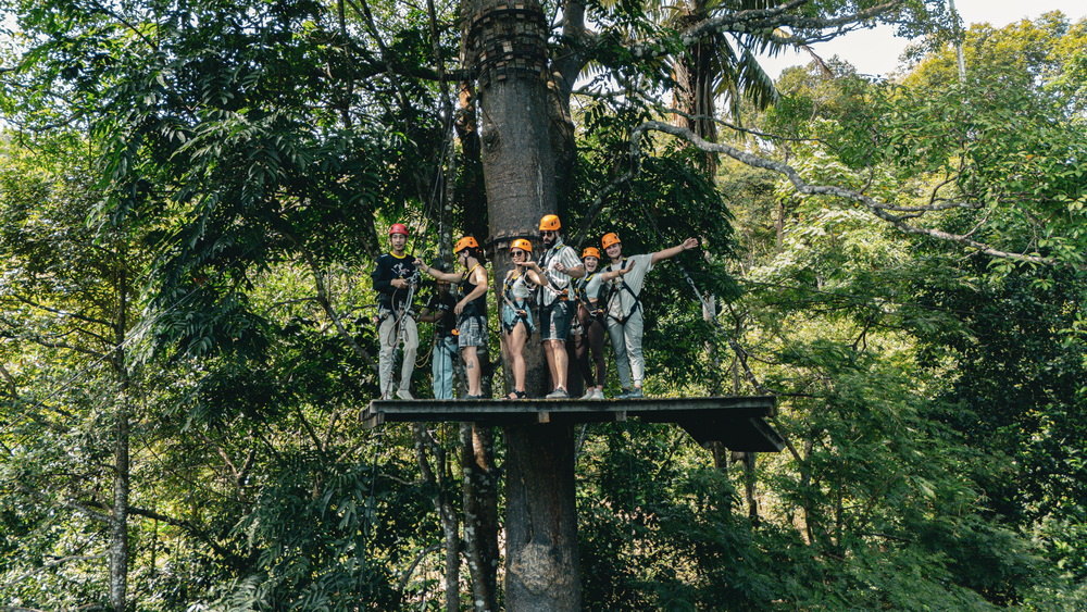 Group waiting on a treetop platform