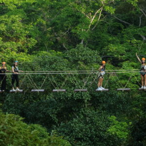 Canopy walkway high in the Phuket rainforest