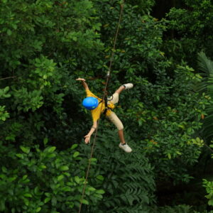 Zipliner seen from above over the green canopy
