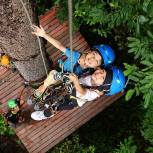 Guests on a treetop platform, seen from above
