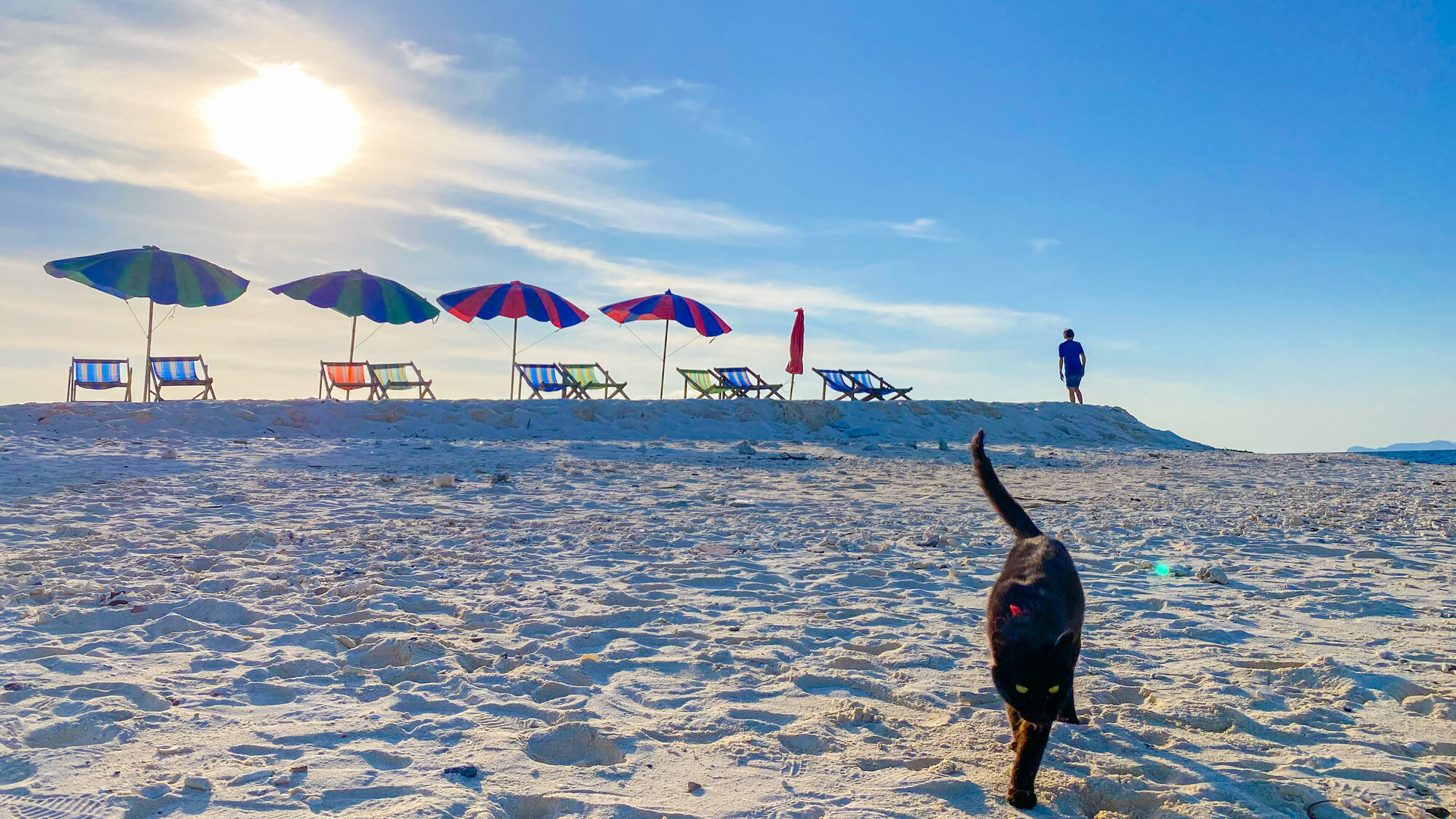 Sunshades on the beach on a bright afternoon