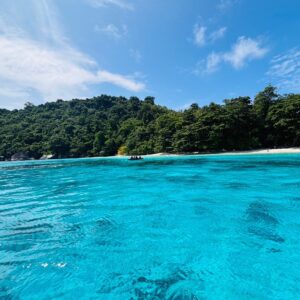 Forested island and clear shallow water in the Similan Islands