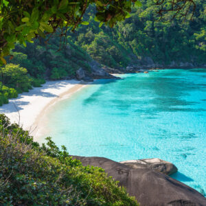Turquoise bay framed by forest in the Similan Islands