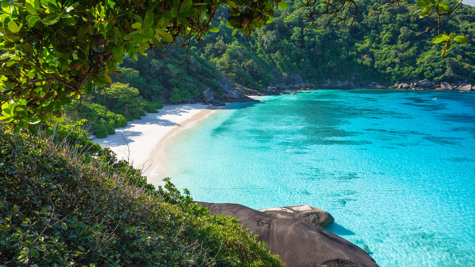 Turquoise bay framed by forest in the Similan Islands