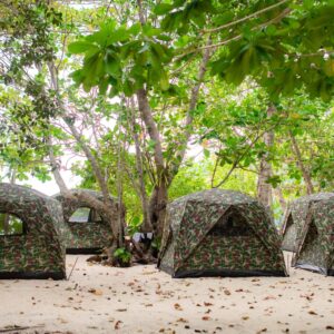 Tents under the trees on Mai Ngam beach in the Surin Islands