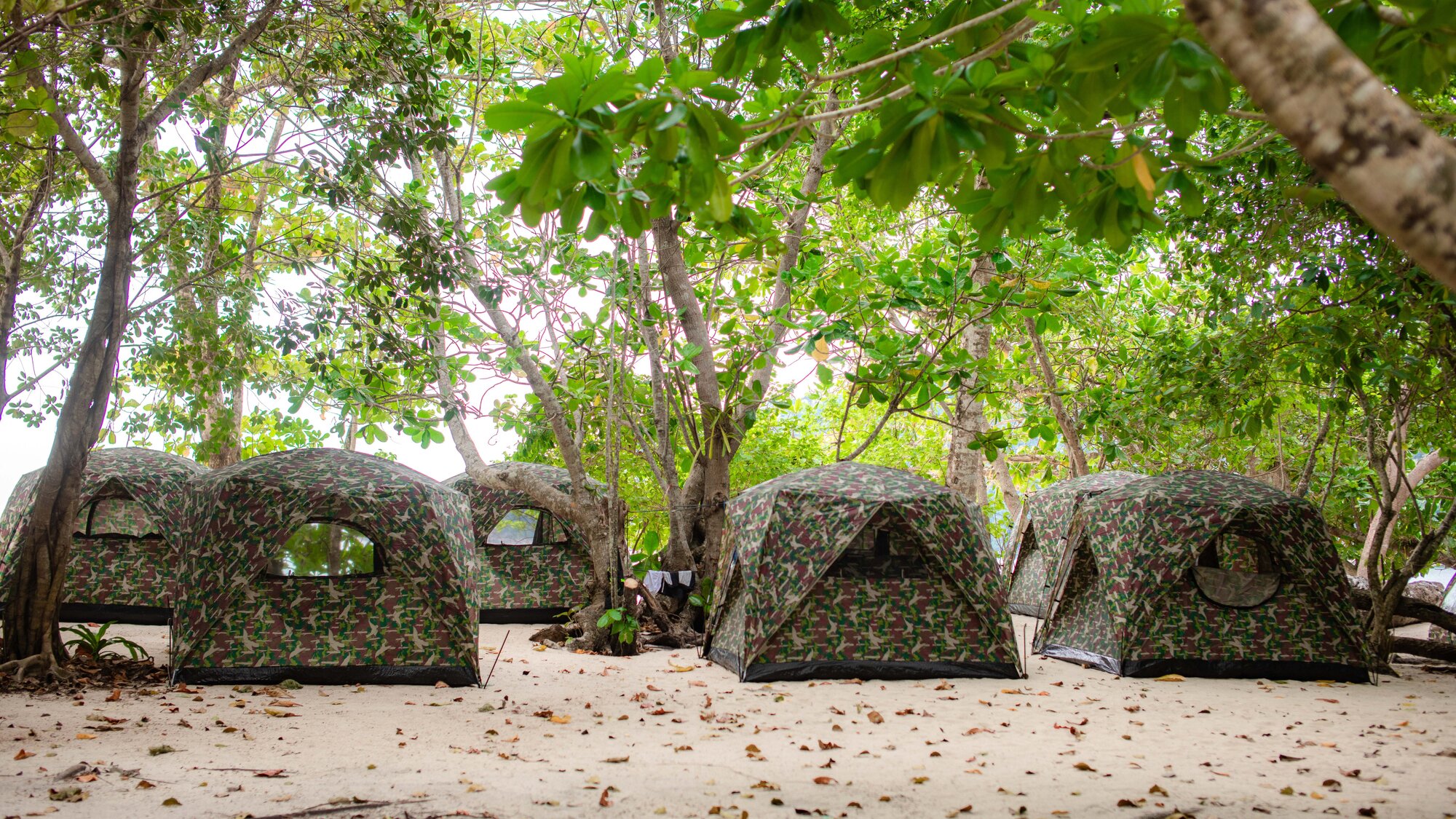 Tents under the trees on Mai Ngam beach in the Surin Islands