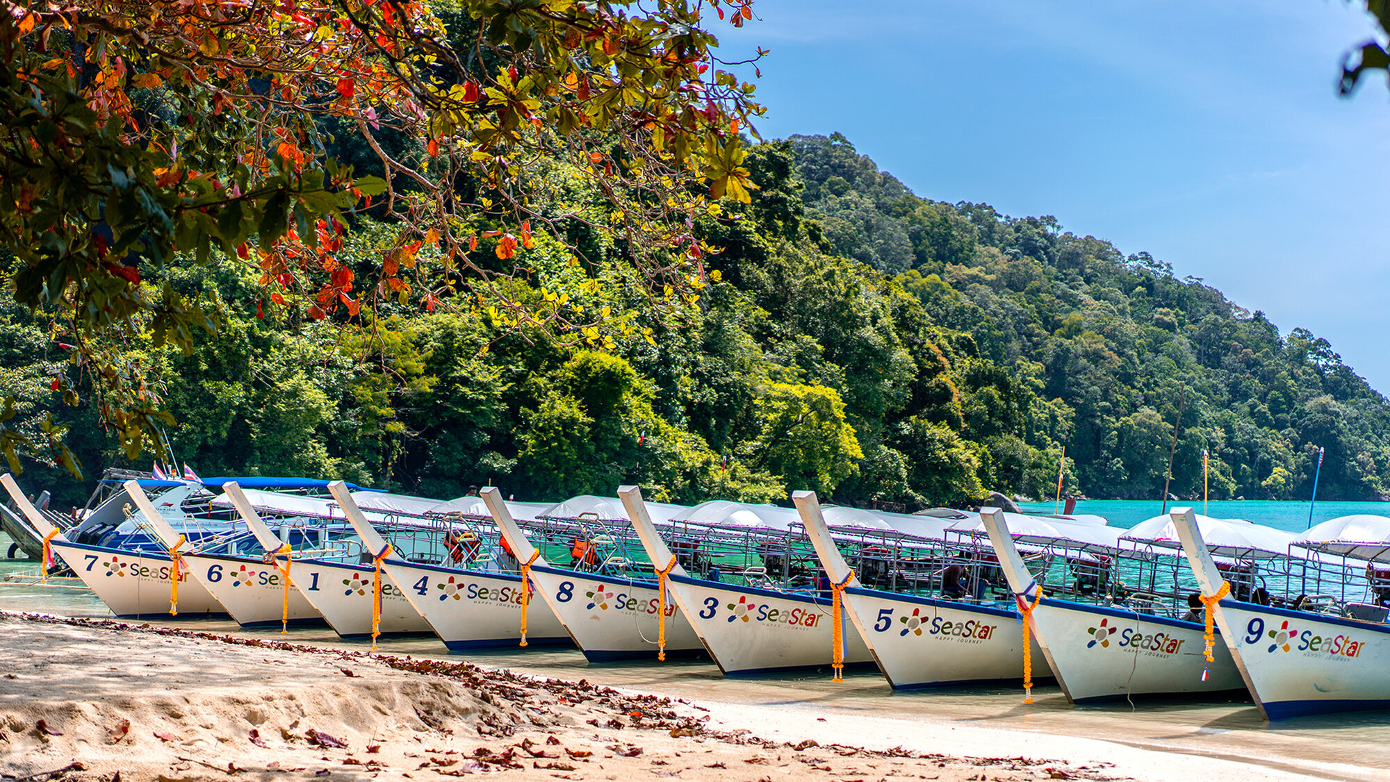 Moken long-tail boats pulled up on a Surin beach